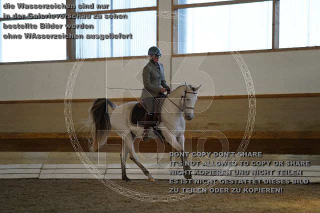 s_K3F02845.JPG